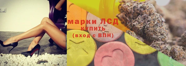 сатива Бугульма