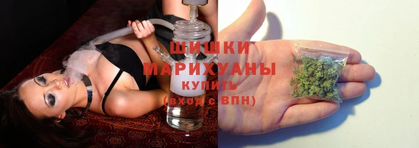 шишки Володарск