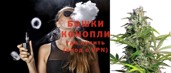 сатива Бугульма