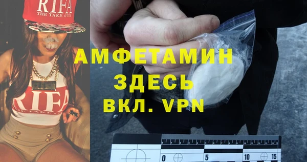 шишки Каменногорск