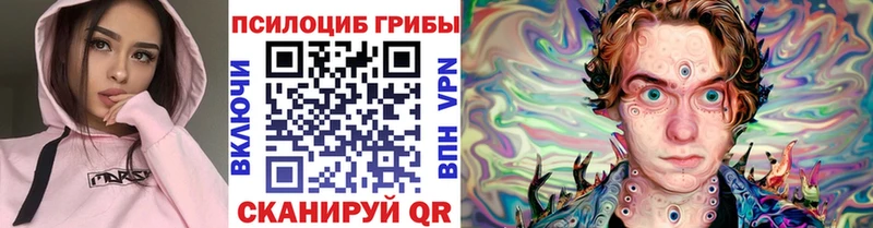 Псилоцибиновые грибы мицелий  сколько стоит  Мглин 